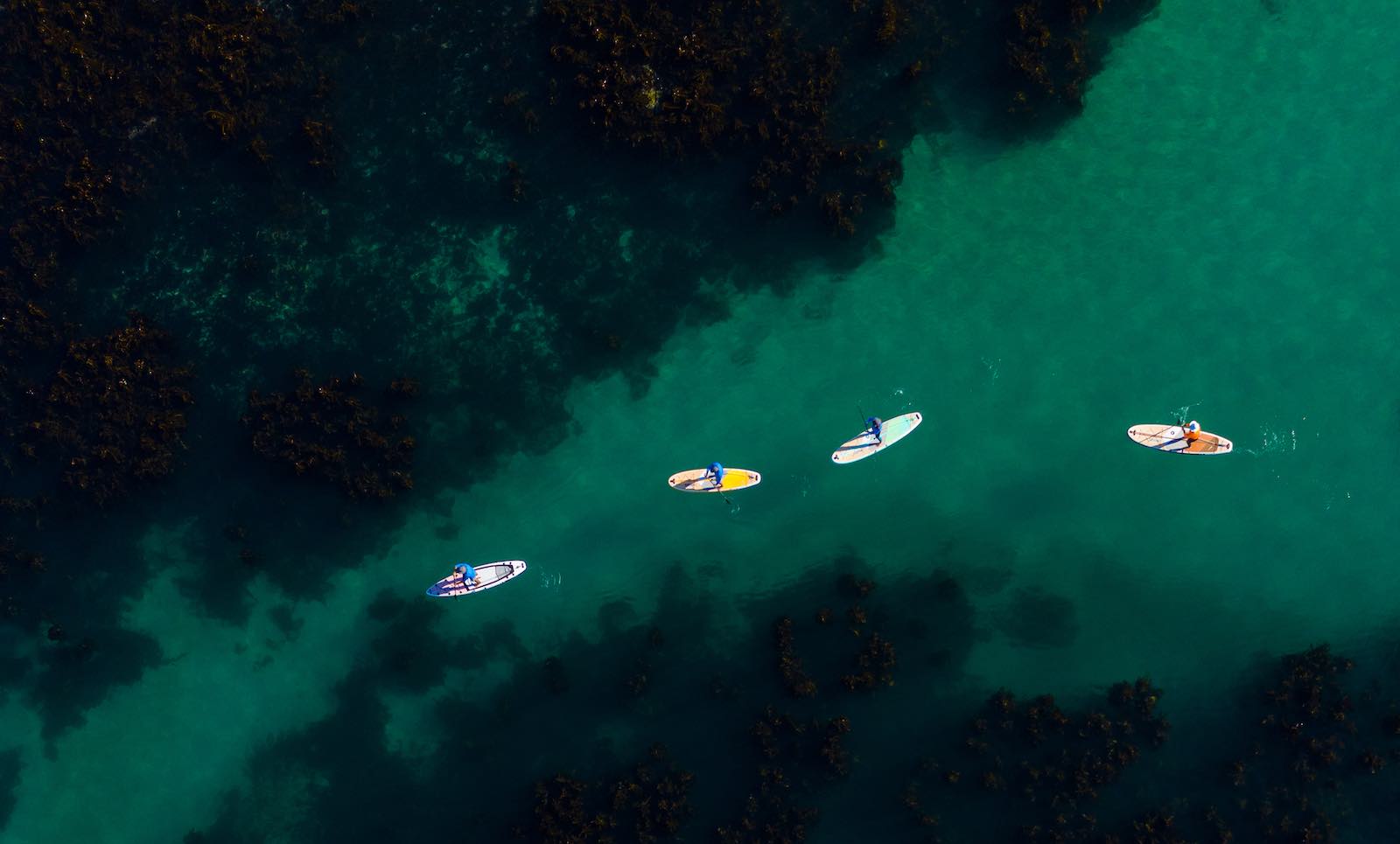 Beginners SUP Racing: Fitness Tips for Your First SUP Racing Event