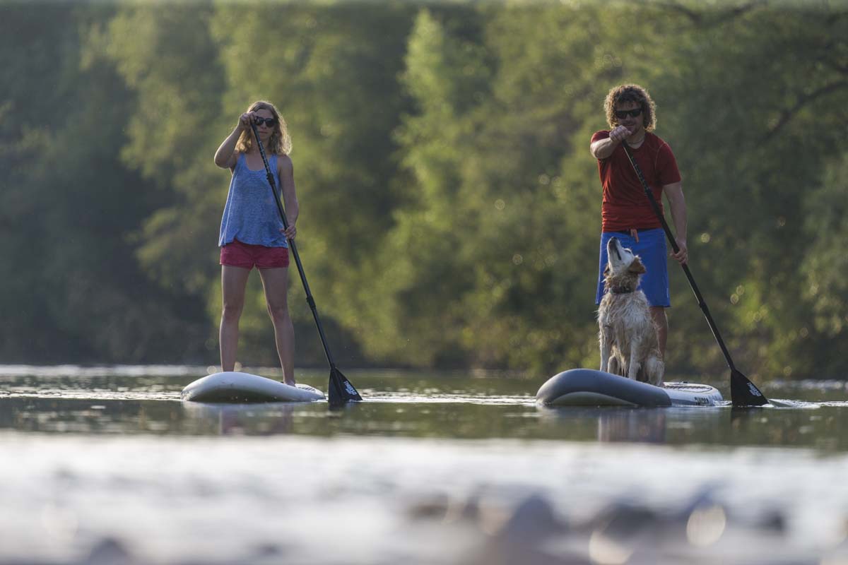 7 Helpful Tips for Paddleboarding With Your Dog